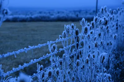 DSC_1109 (Large).JPG